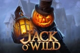 Jack O'Wild slot game